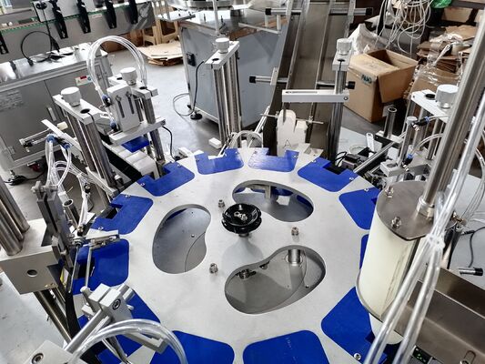 Industrial Rotary Table Vertical Cartoner for Pharmaceutical